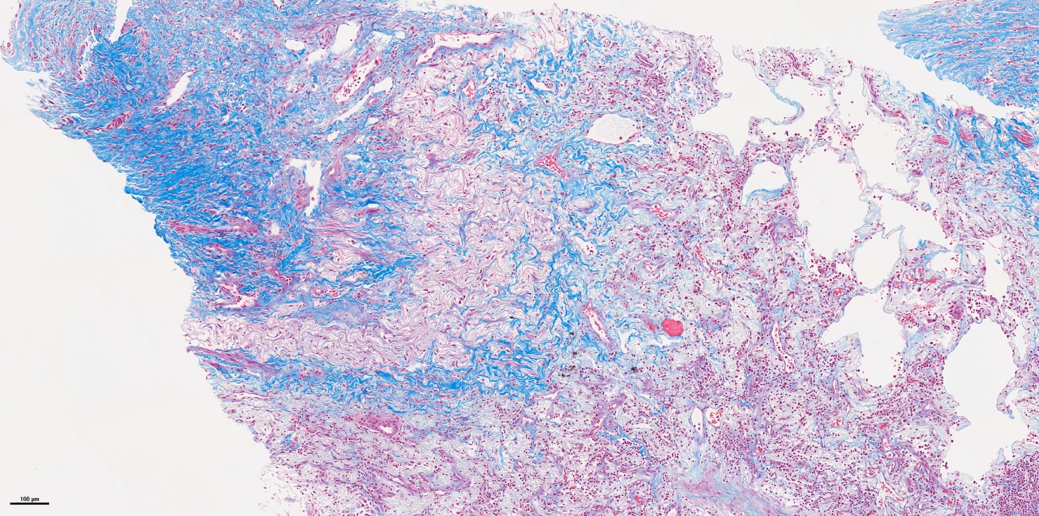 Freeberg Research Laboratory