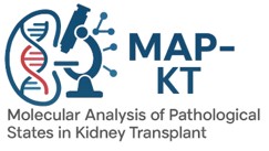 MAP-KT logo