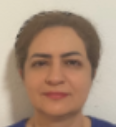 Dr. Alamdari